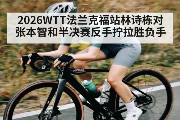 2026WTT法兰克福站林诗栋对张本智和半决赛反手拧拉胜负手